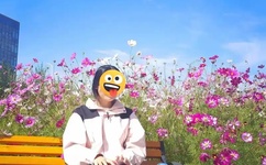 CHINESE男男体育生腹肌网